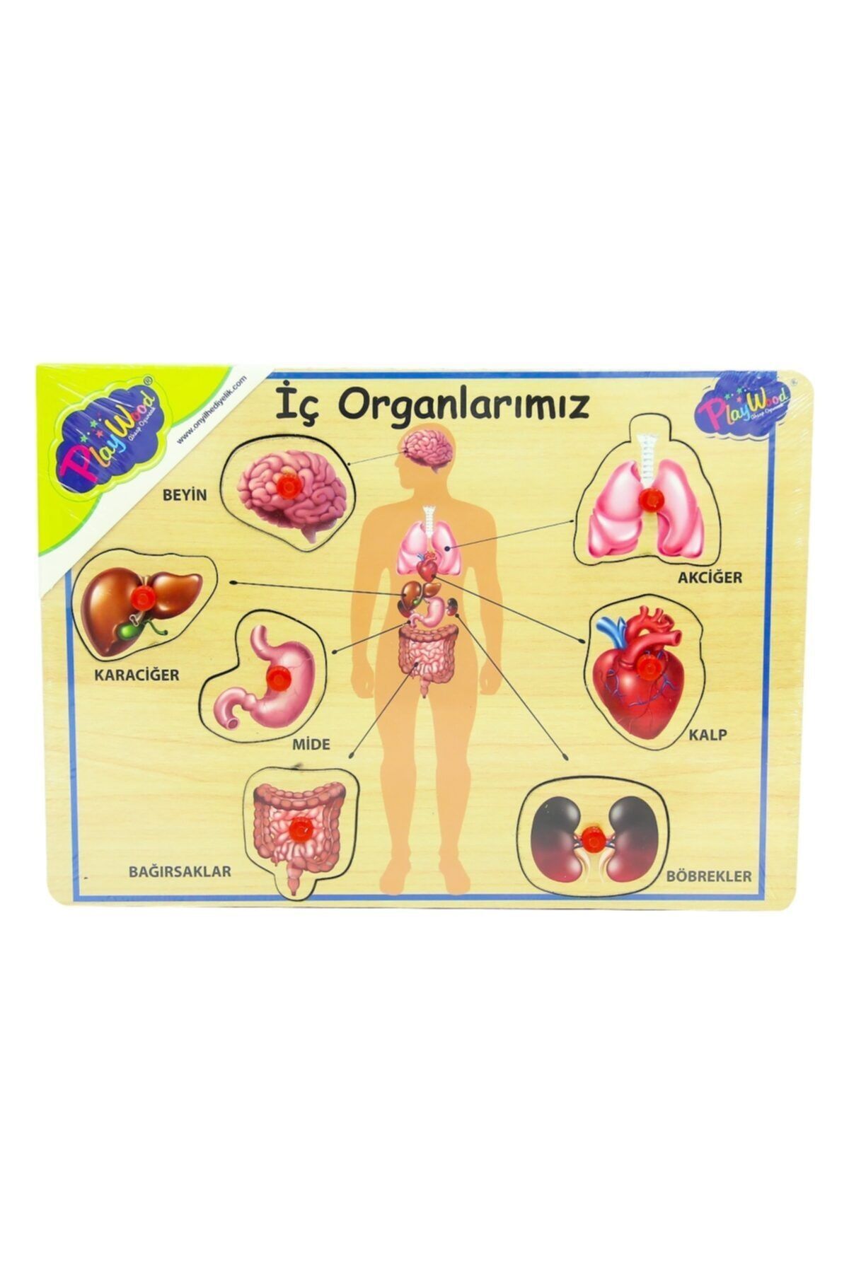 Ahşap Tutmalı Organlar Yapboz