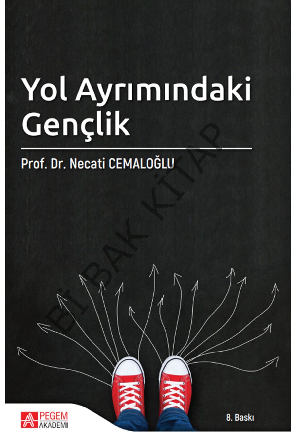 Yol Ayrımındaki Gençlik