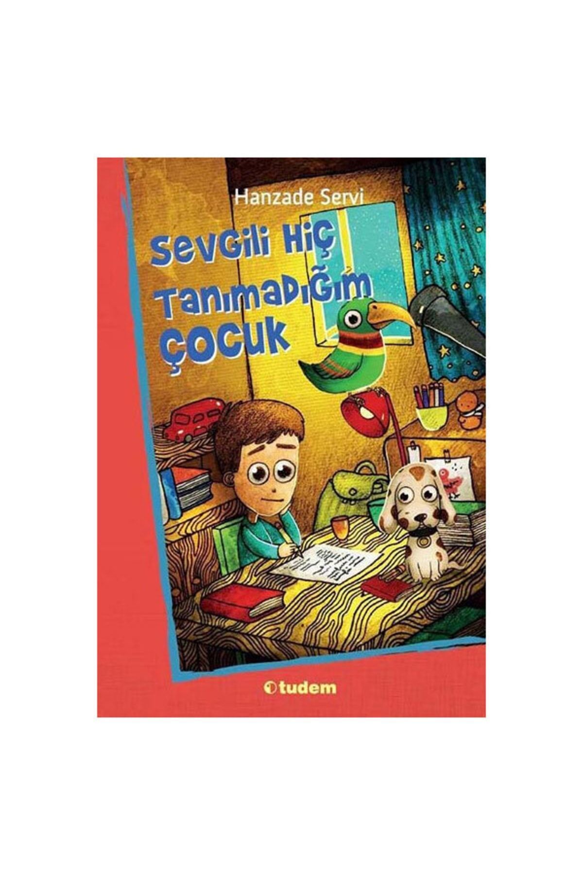 Sevgili Hiç Tanımadığım Çocuk - Hanzade Servi -