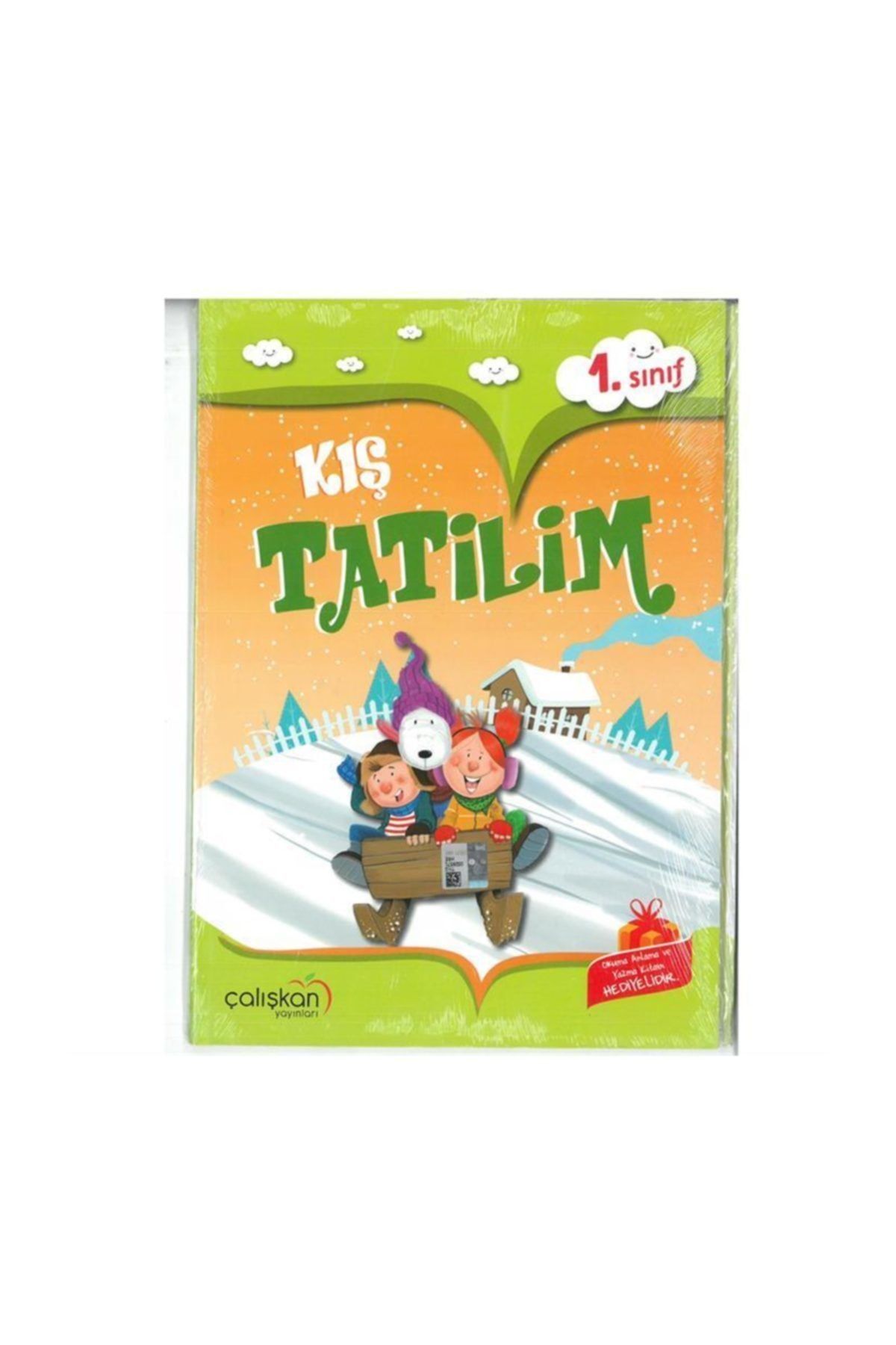 Çalışkan 1.sınıf Kış Tatilim Tatil Kitabı