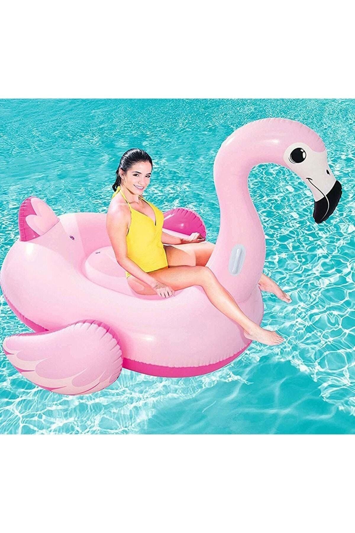 Flamingo Binici